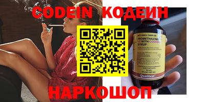 МДПВ Кингисепп