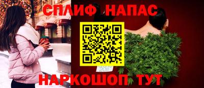 МДПВ Кингисепп