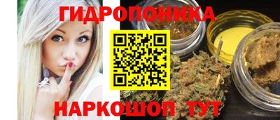 МДПВ Кингисепп