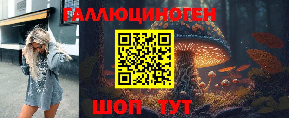 Галлюциногенные грибы MAGIC MUSHROOMS Черняховск